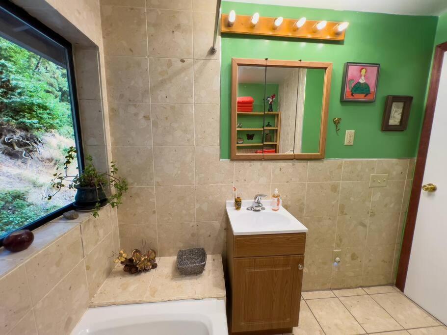 Appartamento Little House In The Redwoods With A Hot Tub! Garberville Esterno foto