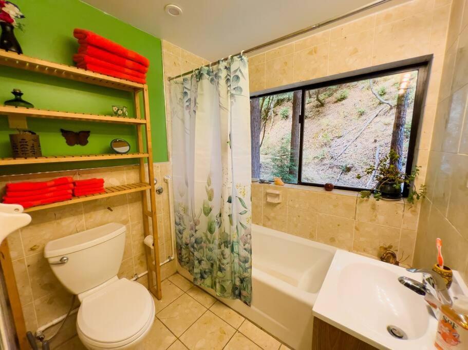 Appartamento Little House In The Redwoods With A Hot Tub! Garberville Esterno foto