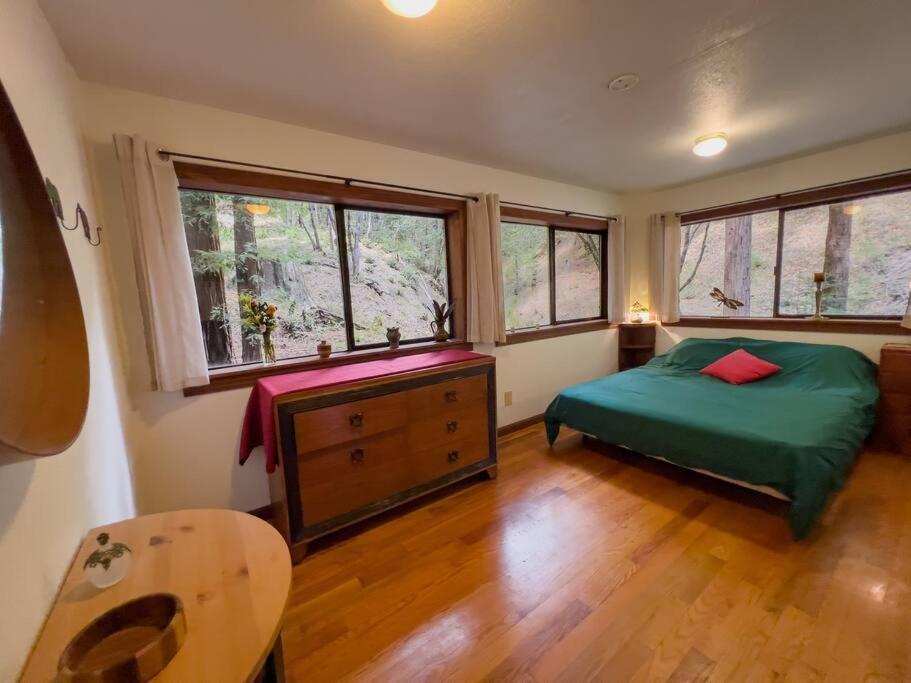 Appartamento Little House In The Redwoods With A Hot Tub! Garberville Esterno foto