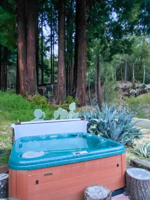 Appartamento Little House In The Redwoods With A Hot Tub! Garberville Esterno foto