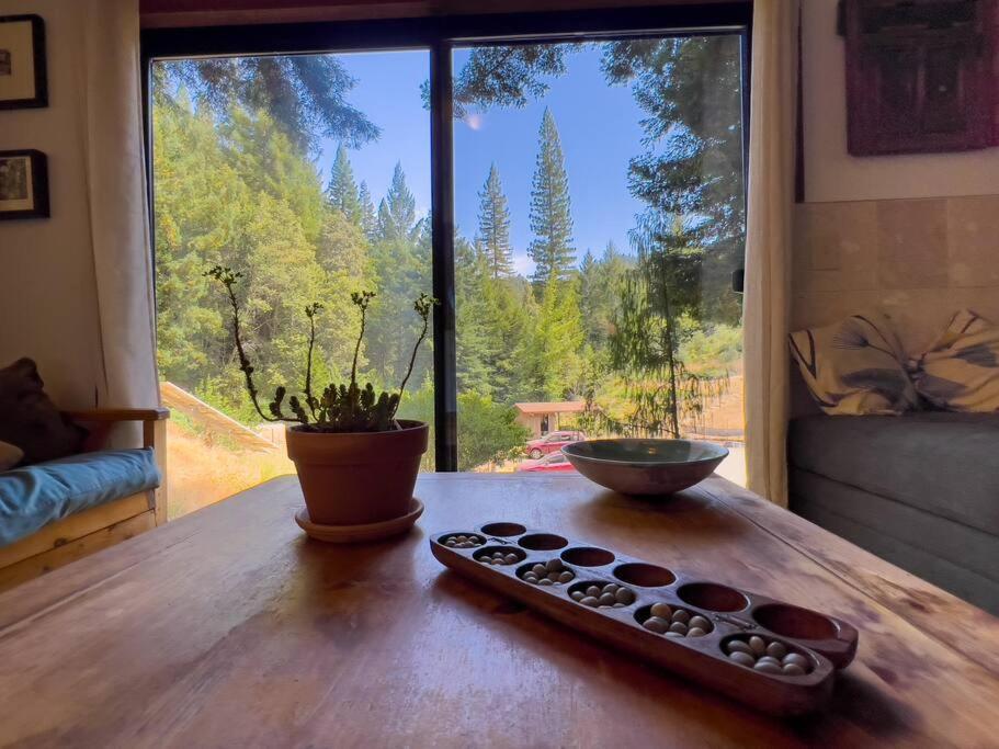 Appartamento Little House In The Redwoods With A Hot Tub! Garberville Esterno foto