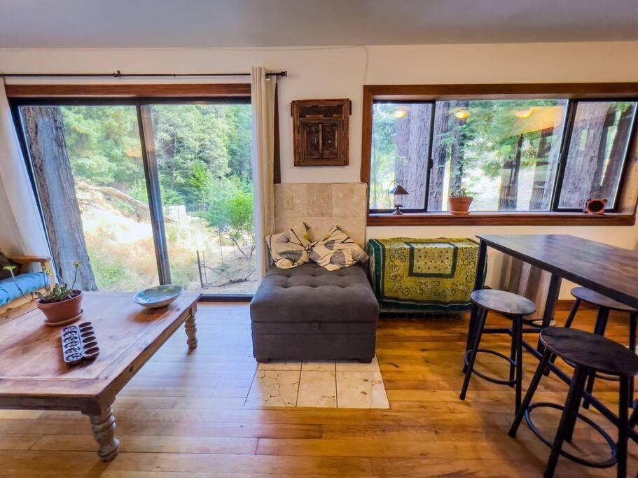 Appartamento Little House In The Redwoods With A Hot Tub! Garberville Esterno foto